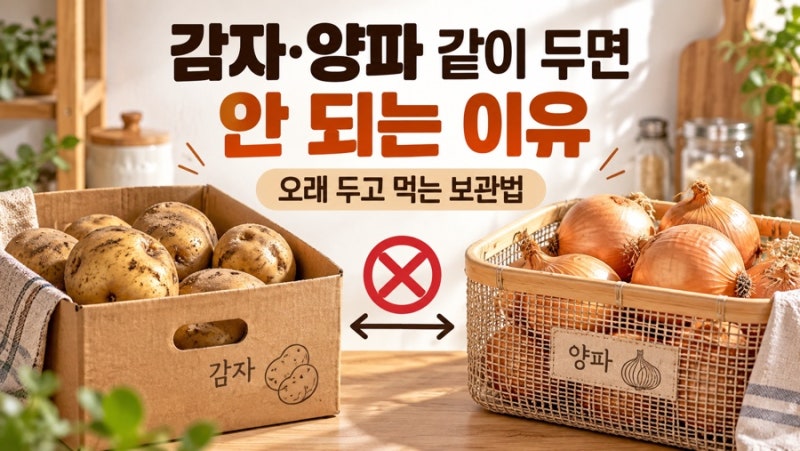 감자와 양파를 같이 보관하면 안 되는 이유, 오래 두고 먹는 보관법