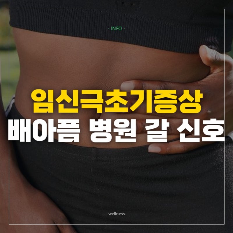 "며칠째 아랫배가 콕콕 쑤셔요" 임신극초기증상 배아픔과 설사 사이에서 놓치기 쉬운 출혈 ....