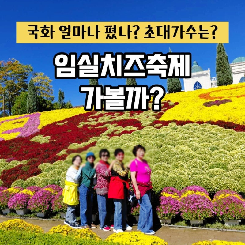 임실치즈축제 기본정보, 축제 전 미리 가본 국화는 지금 이 정도! 초대가수까지