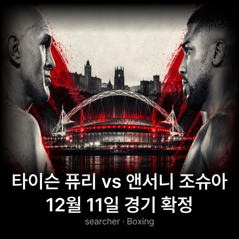타이슨 퓨리 vs 앤서니 조슈아｜12월 11일 경기 일정과 넷플릭스 중계