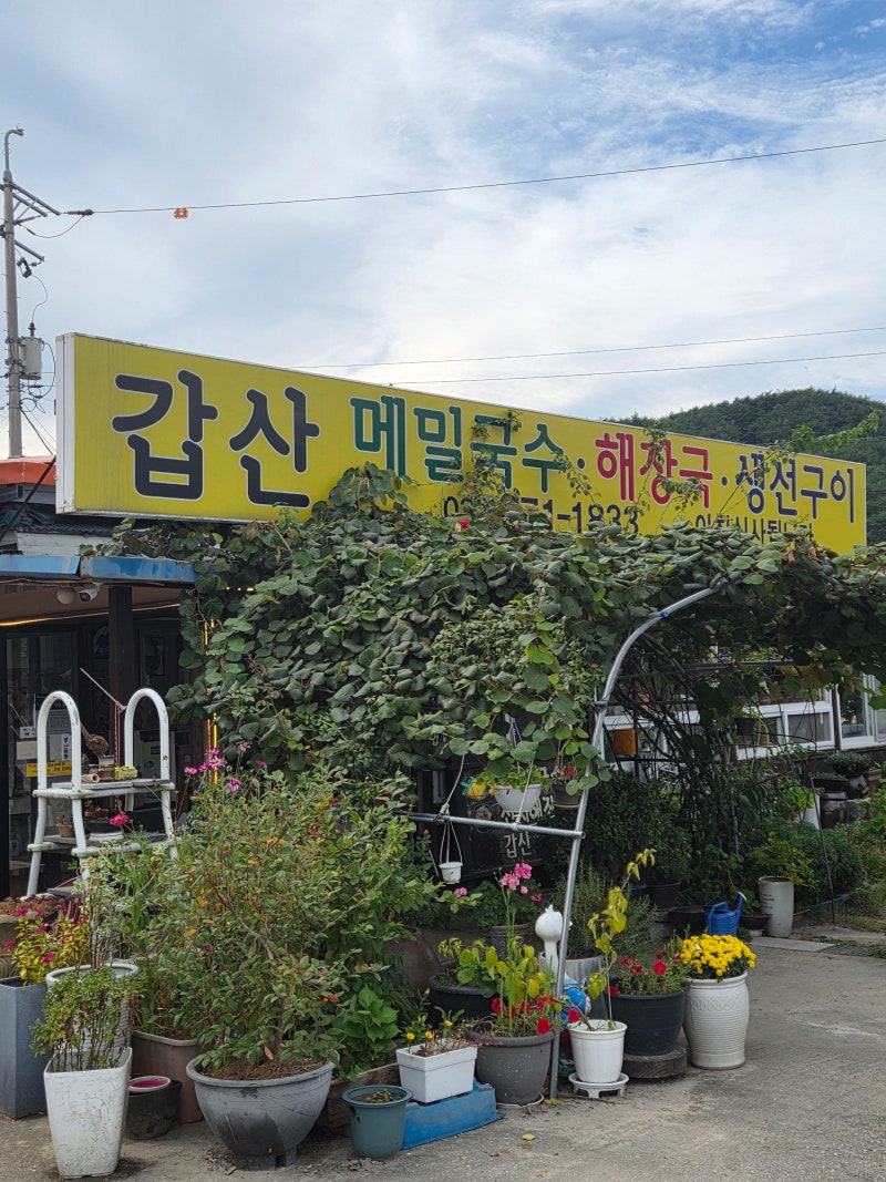 양양 휴휴암 근처 갑산메밀국수 막국수&감자전 현지 맛집 무조건 먹어야해