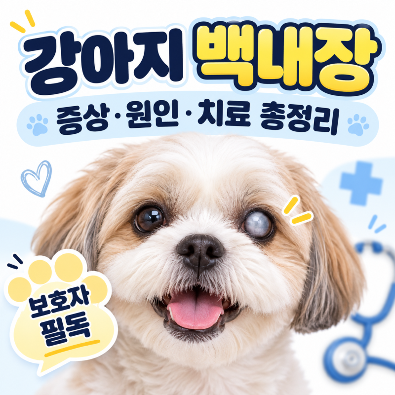 강아지 백내장 초기증상 7가지｜눈이 뿌옇다면 핵경화와 어떻게 다를까?