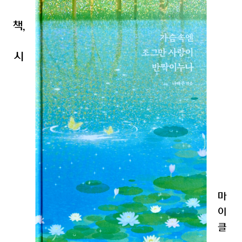 나태주 『가슴속엔 조그만 사랑이 반짝이누나』 독후감 ｜ 사랑을 담은 106편의 필사 시집
