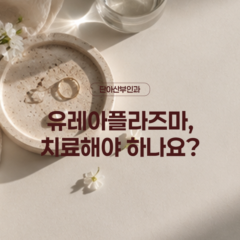 유레아플라즈마가 검출되면 꼭 치료해야 하나요?