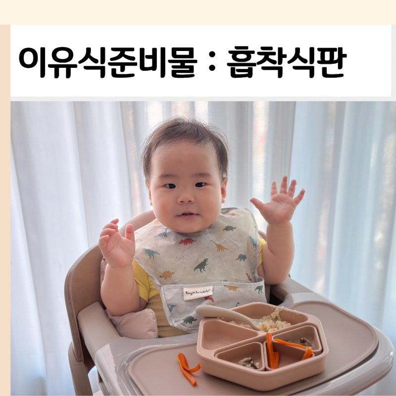 이유식준비물 흡착식판 추천하는 이유, 유아식판 타이니트윙클