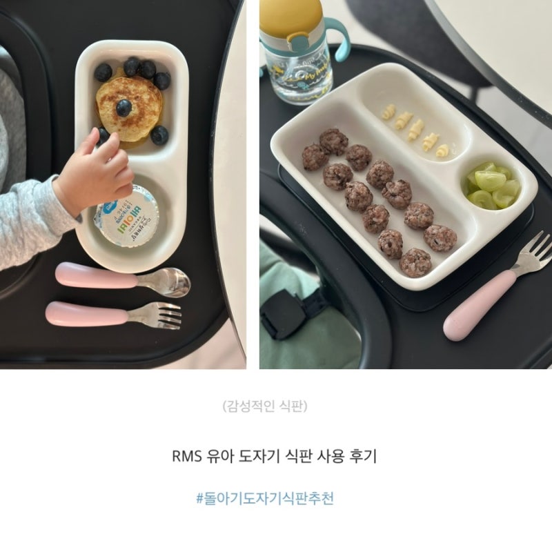 돌아기 식판으로 선택한 RMS 도자기유아식기 2구,3구 내돈내산 사용후기