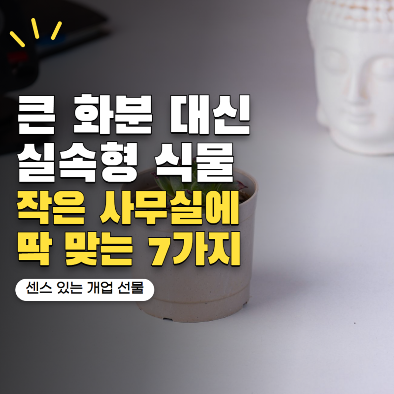 개업화분 꼭 큰 게 좋을까? 작은 사무실에 더 잘 어울리는 식물 7가지