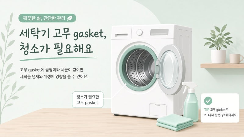 세탁기 곰팡이 제거｜통세척 돌렸는데도 냄새 날 때, 내가 놓친 곳 (통돌이·드럼)