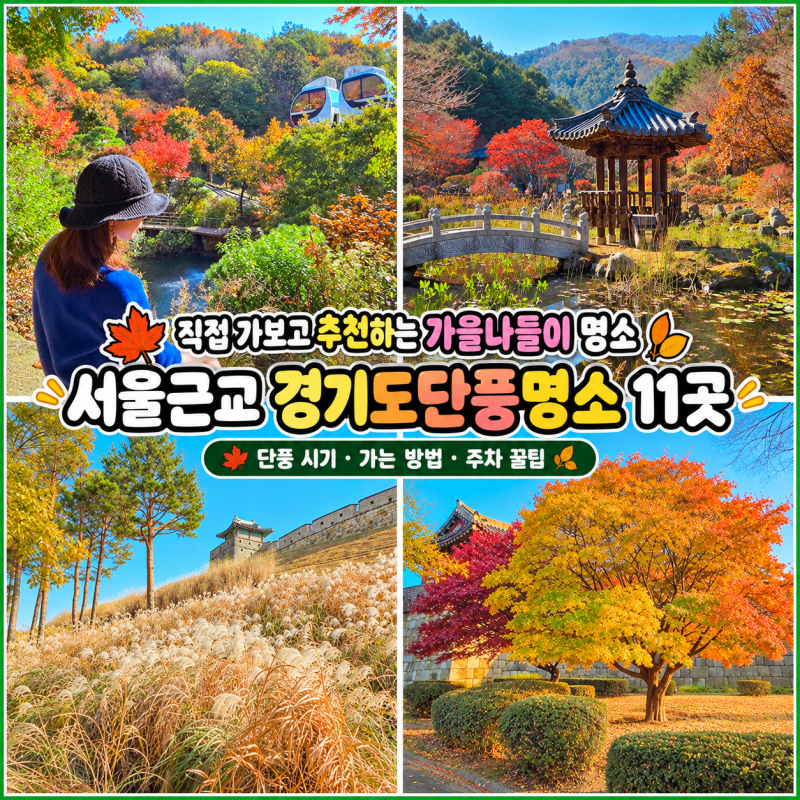 직접 가보고 추천 ! 가을나들이 서울근교 경기도단풍명소11곳