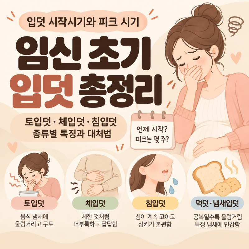 입덧 시작시기와 피크 시기｜토입덧·체입덧·침입덧 종류별 특징
