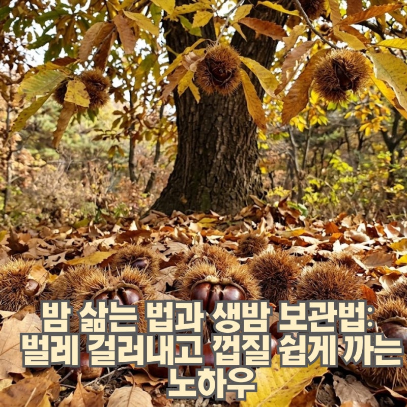 밤 삶는 법과 생밤 보관법: 벌레 걸러내고 껍질 쉽게 까는 노하우