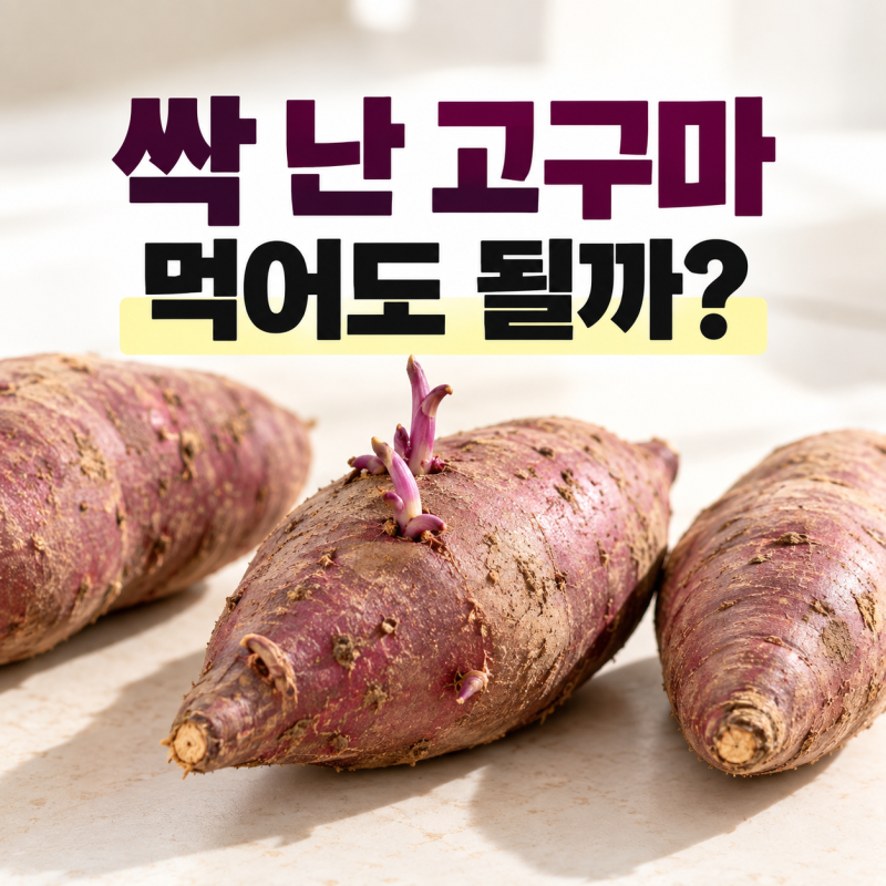 싹 난 고구마 먹어도 될까? 먹는 법과 보관법 (+ 버려야 하는 경우)
