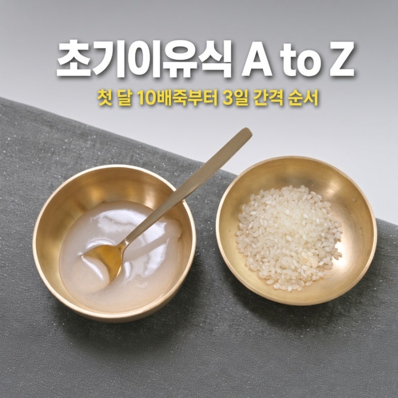 초기이유식 식단표, 쌀미음 10배죽부터 3일 간격 첫 달 순서