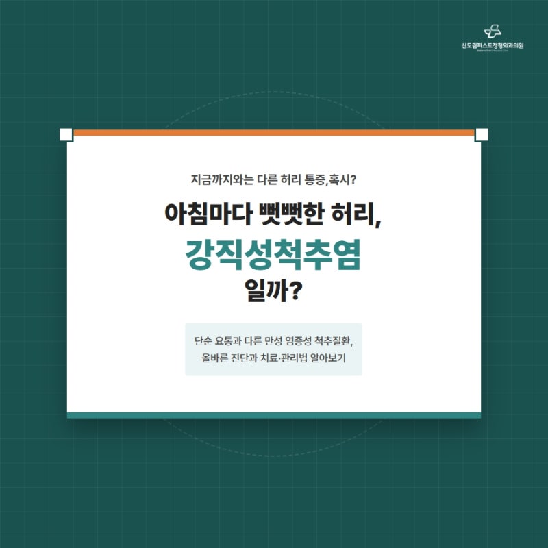 강직성척추염 증상과 치료 일반 허리통증과 다른 이유