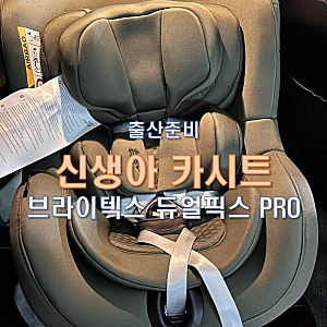 출산준비 흔들림 없는 신생아 카시트 추천｜브라이텍스 듀얼픽스 PRO (기아 쏘렌토) 장착 후....