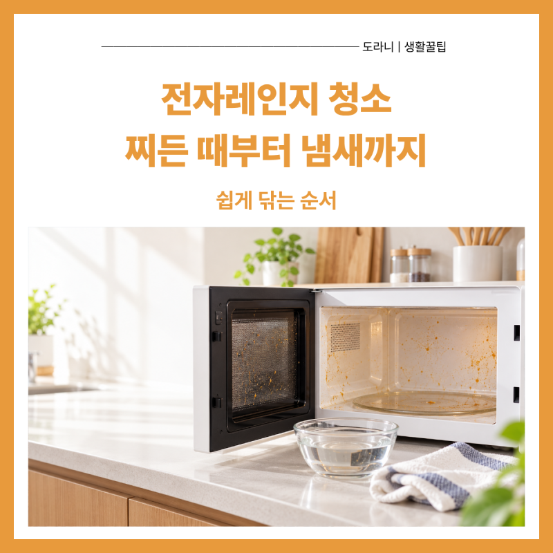 전자레인지 청소｜냄새·찌든 때까지 쉽게 닦는 순서