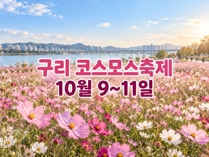 구리 한강 코스모스축제 2026｜언제 가야 좋을까, 공연·불꽃·교통 정리