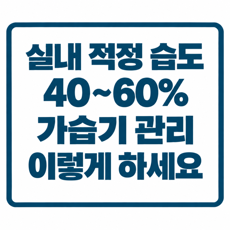 실내 적정 습도와 온도, 환절기 가습기 관리법 정리