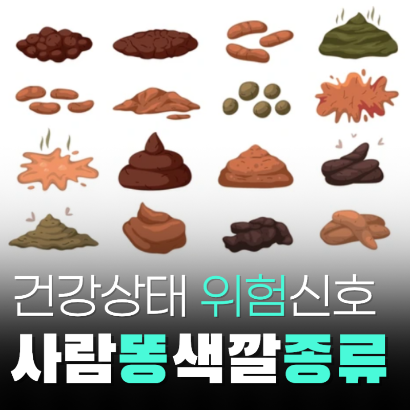 사람 똥 색깔 종류별 건강 상태 위험 증상