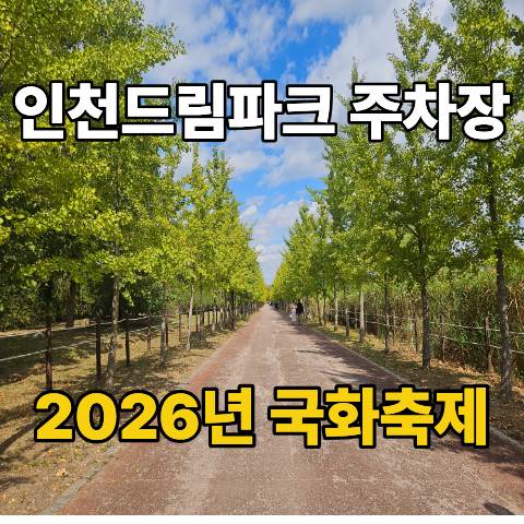 인천 드림파크 야생화 단지 소개 | 가을꽃 국화축제 일정 및 주차장 정보 총정리