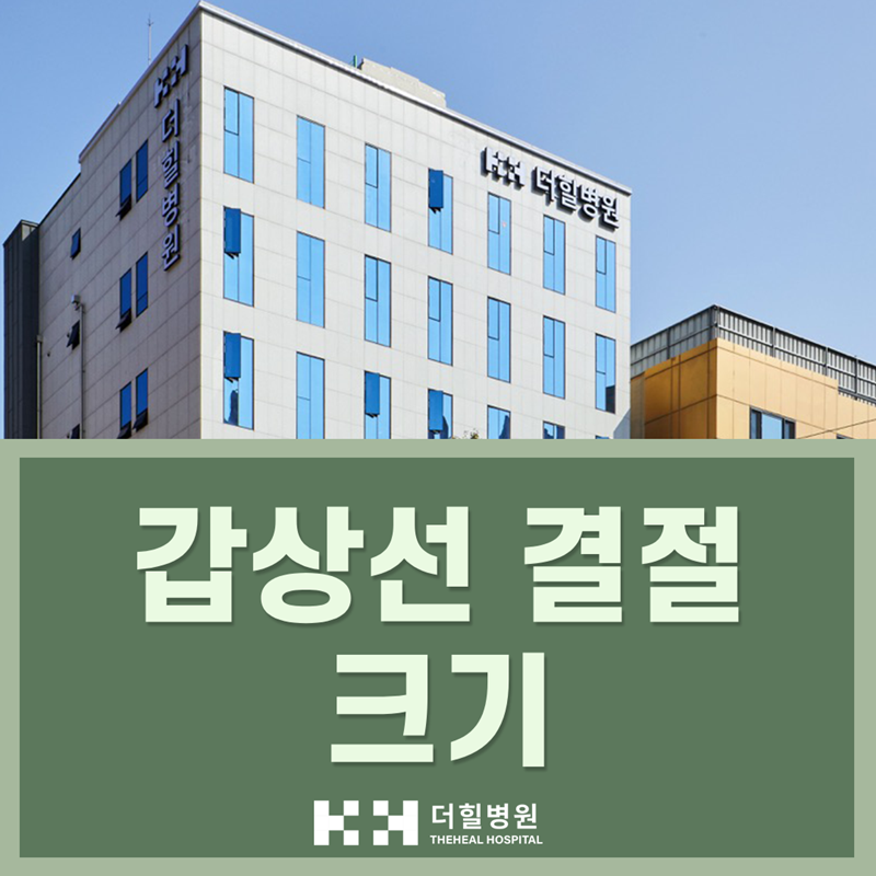갑상선 결절 크기, 몇 cm이든 중요한 건 이겁니다.