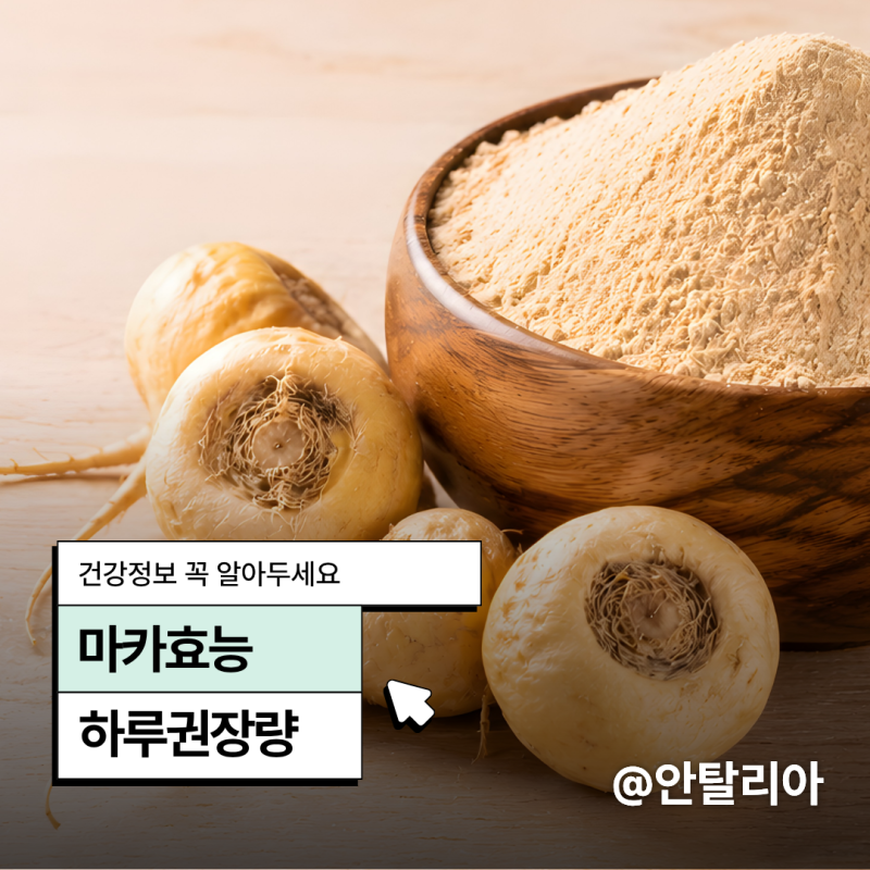 마카효능, 남편 챙겨주며 궁금했던 권장량