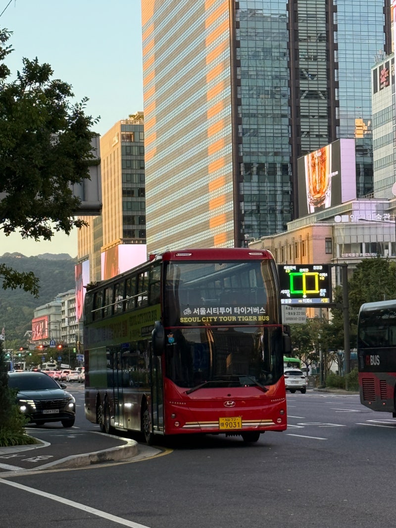 서울시티투어버스 야경 한강 남산 코스 직접 타본 후기와 타보고 알게된 꿀팁까지