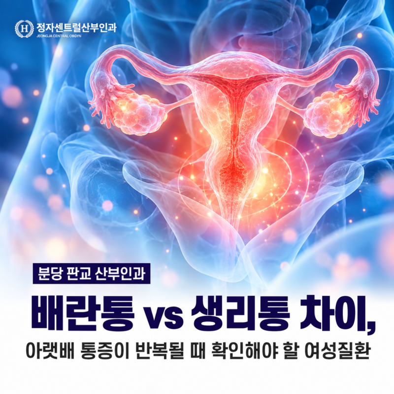 분당 판교 산부인과 배란통 vs 생리통 차이, 아랫배 통증이 반복될 때 확인해야 할 여성질환