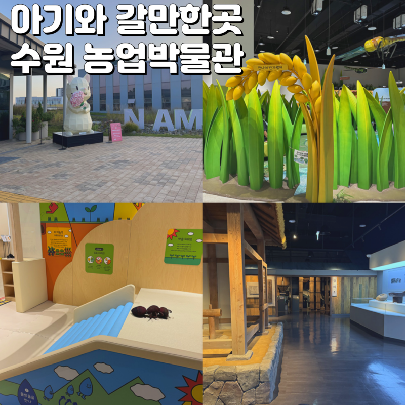 경기도 어린이 박물관 추천 수원 국립농업박물관 아기랑 갈만한곳