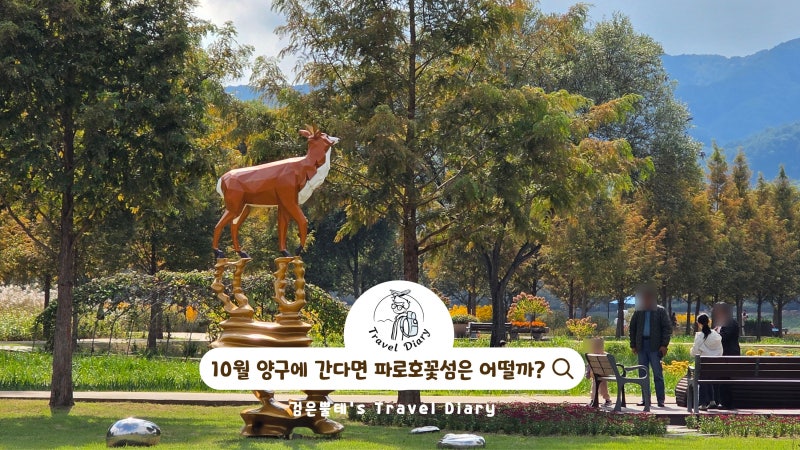 파로호 꽃섬 가족 여행 10월 강원도 양구 아이와 가볼만한곳
