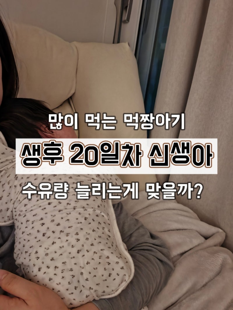 [생후 20일] 신생아 수유량 고민 70ml에서 80ml로 증량 솔직 후기(많이 먹어서 고민인 초보맘)