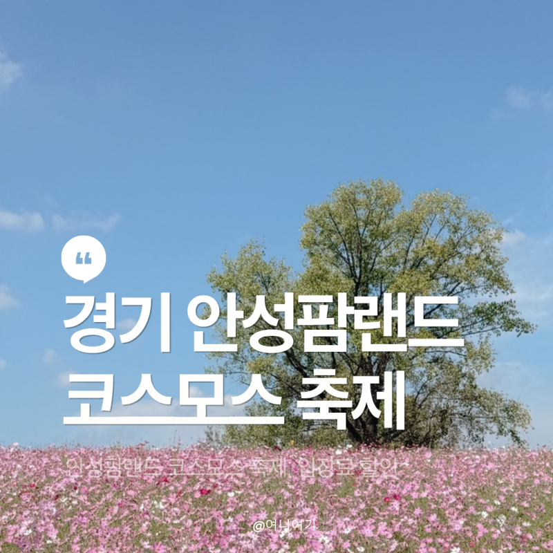 안성팜랜드 아이랑 코스모스 축제 현황 입장권 할인 총정리