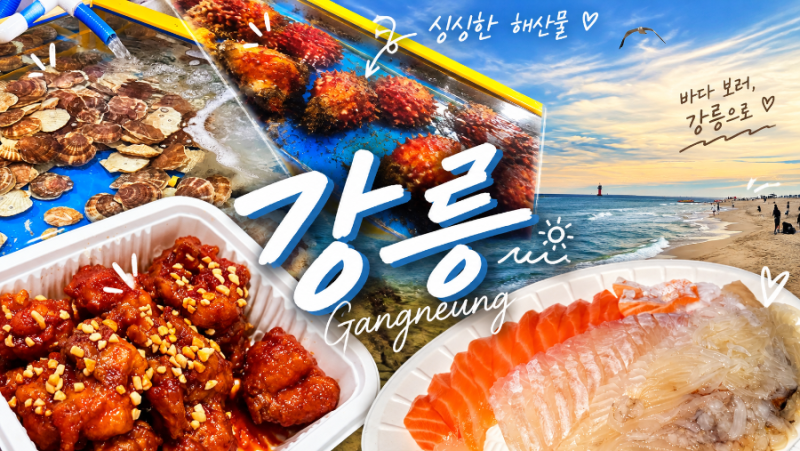 강릉 맛집 고고횟집 광어 오징어 연어세트 강추 서울양계 달콤닭강정