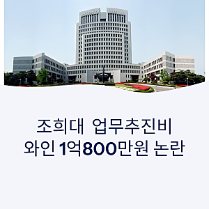 조희대 업무추진비 논란 — 와인 1억800만원·고가 식사, 국감서 나온 해명은