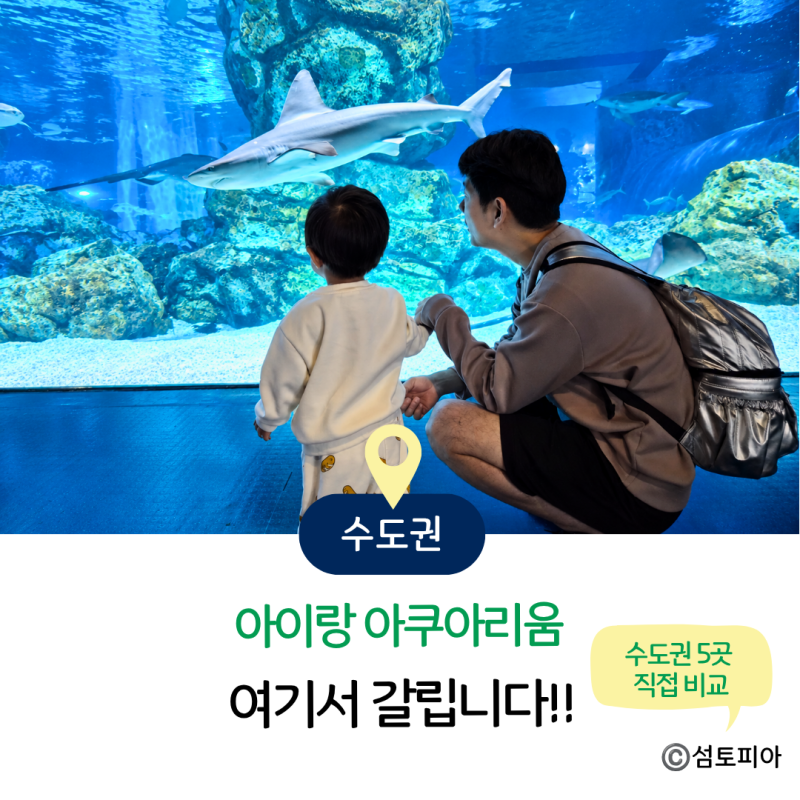 롯데월드·코엑스 아쿠아리움 할인 | 수도권 가볼만한곳 당일치기