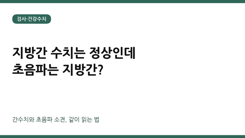 지방간 수치는 정상인데 초음파에서 지방간이라고? 간수치와 초음파 소견을 같이 보는 법