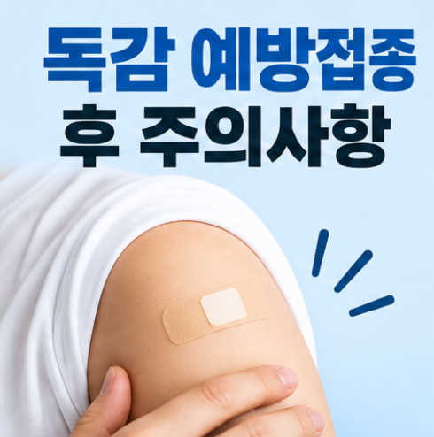 독감 예방접종 후 샤워해도 될까? 운동·음주·목욕 주의사항 총정리