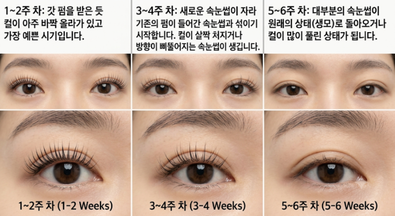 속눈썹 펌 유지 기간은 얼마나 갈까? 주기부터 관리법까지 완벽 정리!
