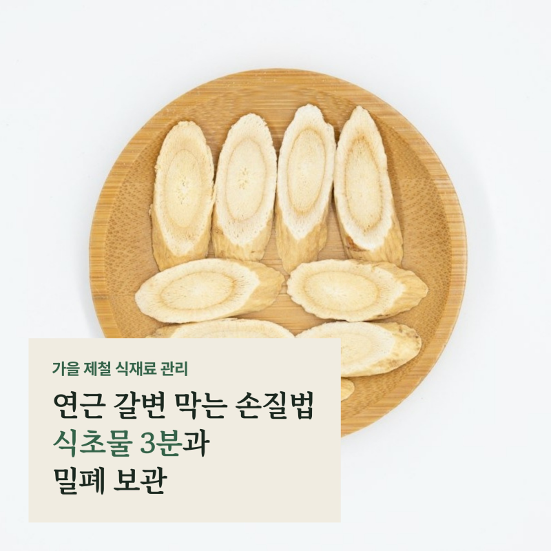 연근 보관법과 갈변 막는 손질법, 아린 맛 잡는 식초물 3분과 수분 차단 공식