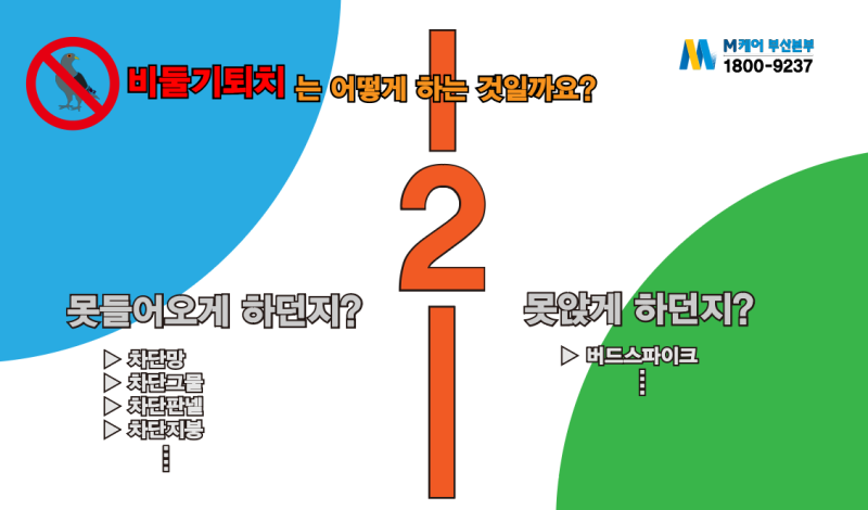 부산비둘기퇴치, 2가지 방식은 뭘까요?