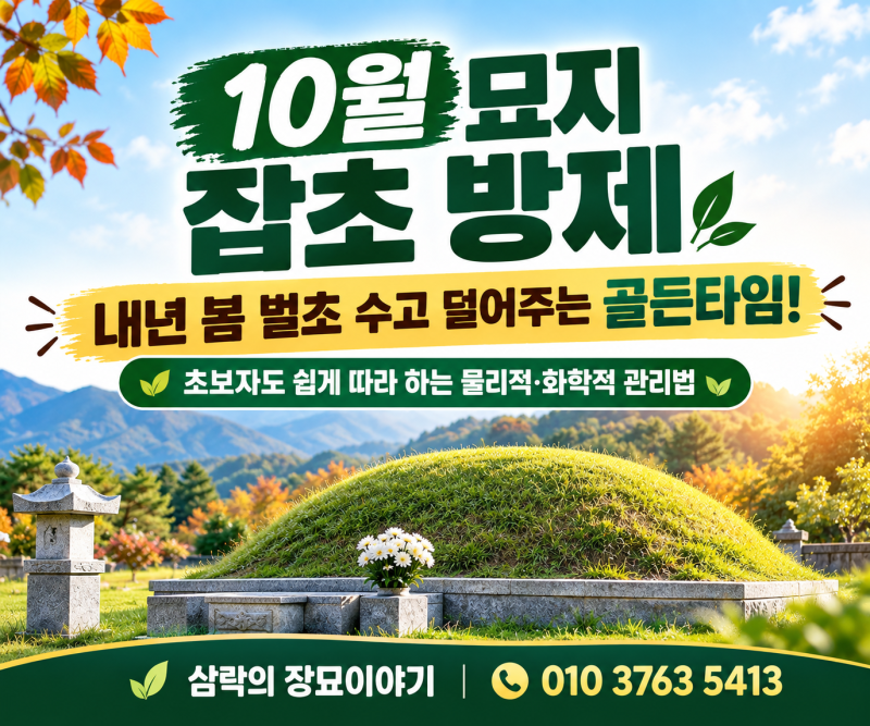 [묘지 관리] 10월 묘지 잡초 방제법! 물리적·화학적 방법과 월동 잡초 완전 정복
