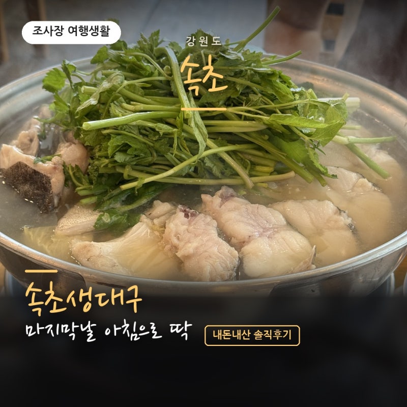강원도 속초 · 여행 마지막 날 아침 속초 생대구탕 | 속초 생대구, 여행 마지막 날 아침으로 ....