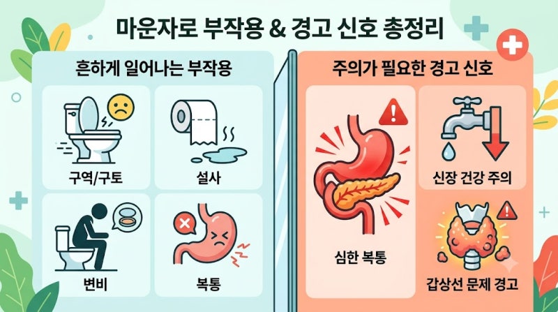 마운자로 가격 처방 기준 부작용부터 끊으면 오는 요요 현상까지 총정리