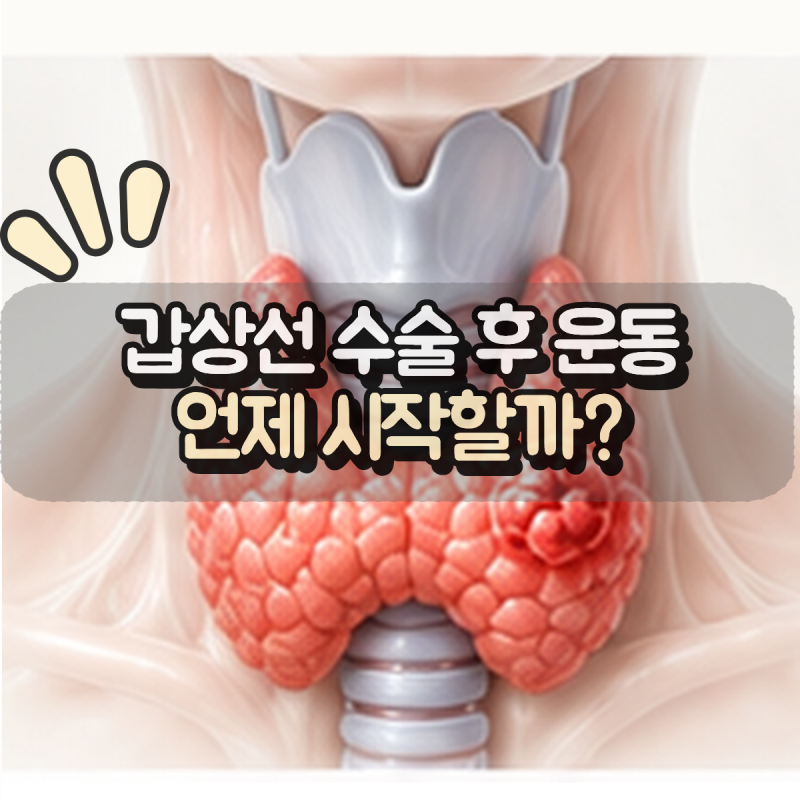 “갑상선암 수술 후 운동은 언제부터 해도 될까?” 걷기부터 다시 시작하는 방법