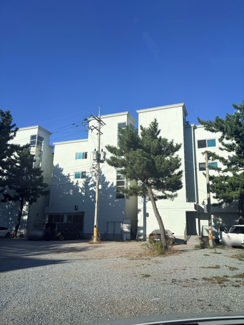 [양양여행]1박2일/3명숙소/바다뷰/에어비앤비/캐비넷 양양 부시기!