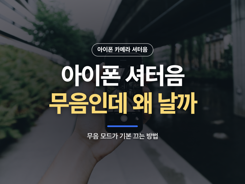 아이폰 카메라 셔터음, 무음 모드인데 소리 나는 이유와 끄는 법