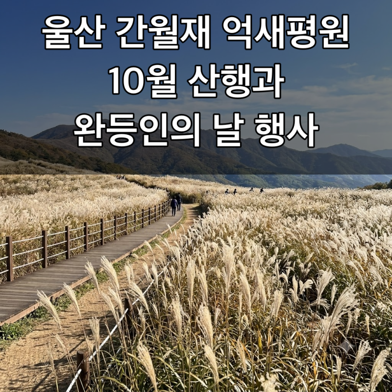 울산 간월재 억새평원 10월 산행과 완등인의 날 행사