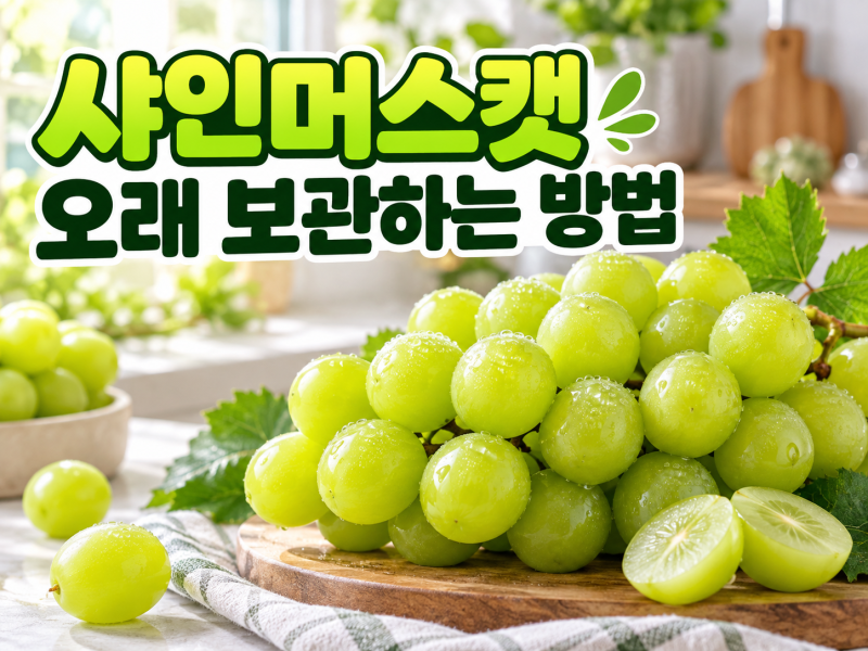 샤인머스캣 오래 보관하는 방법