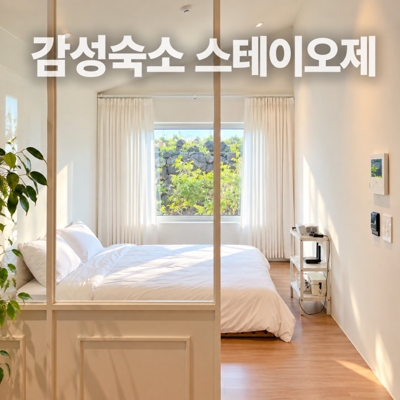 제주 서쪽 가성비 감성숙소 완전 깨끗하고 예쁜 스테이오제 룸1