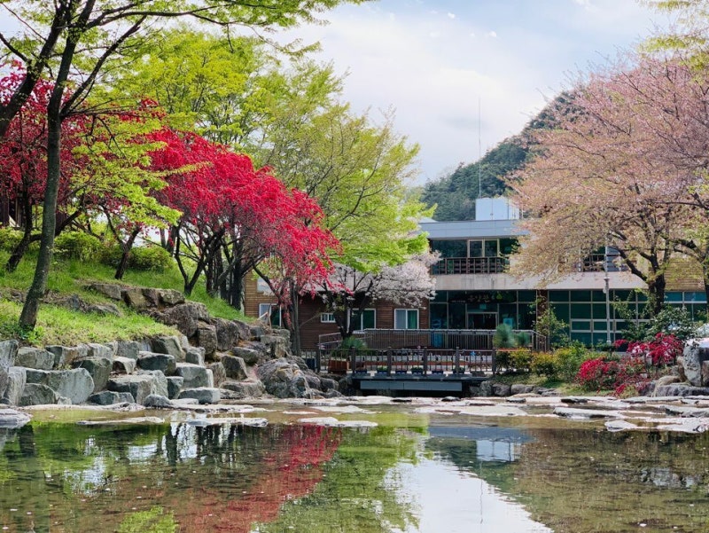 단풍 구경하면서 바베큐가 가능하다고? - 숯불 바베큐 되는 전남 자연휴양림